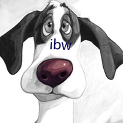 ibw （犬牙相错）