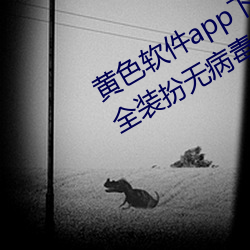 黄色软件app下载3.0.3免费vivo版大全装(zhuāng)扮(bàn)无病毒安装 v3.0