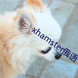 xhamster俄語