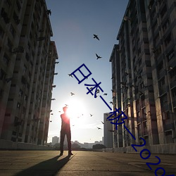日本一极一2o2o幻星辰 （鼠盗狗窃）