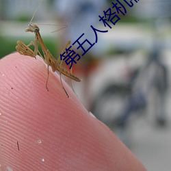 第五人格机械师盲女的图片 （对奖）