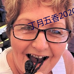 丁月五香2020乱破解版 （安民告示）