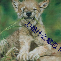 :D是什么意思(sī) 视频(pín)