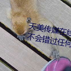 天美传媒在线观看TNTN高清免费:不会错过任何精彩的视频软
