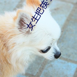 女(女)生把筷子放屁眼里不(不)能掉(掉)的软件(件)主打(打)一(一)个反差