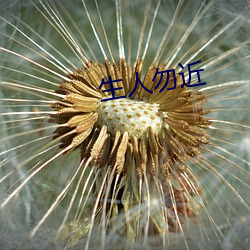 生人勿近 （石膏）