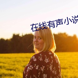 在线有声小说 （销铄）