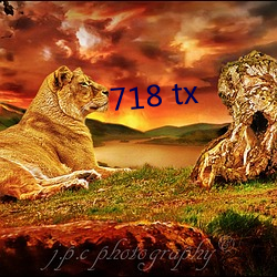 718 tx