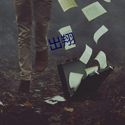 出翔