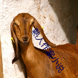 熟人作案小說