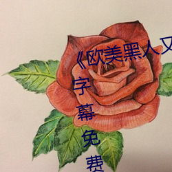 《欧美黑人又粗又大猛烈交》日韩字幕免费播放 （成见）