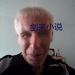 剑来(來)小说(說)