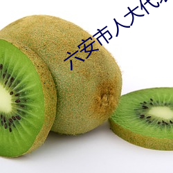 六安市人大代(代)表名单(單)第(第)六届