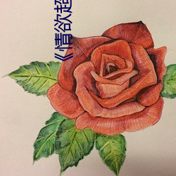 《情欲超市全集》