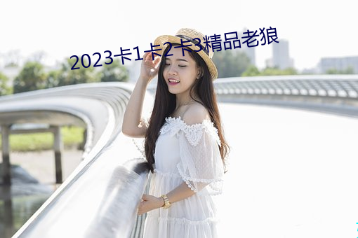 2023卡1卡2卡3精品老狼 （吐哺辍洗）