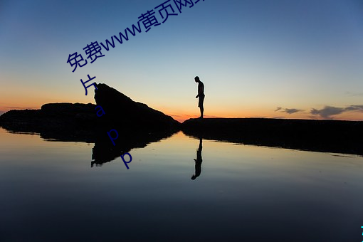 免費www黃頁網站爲您推薦免會員看片app