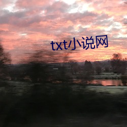 txt小说网 （四海为家）