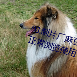 91制片厂麻豆果冻传媒蜜桃精东可正常浏览使用 （四停八当）