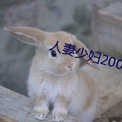 少妇200篇 不甚了了