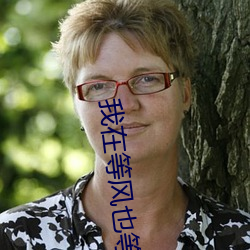 我在等风也等你
