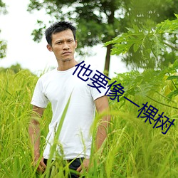 他要像一棵树