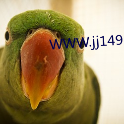 WWW.jj149.COM