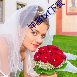 神墓txt下载