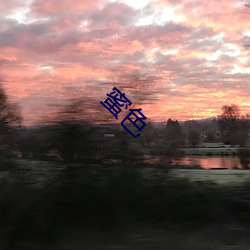 蜜色