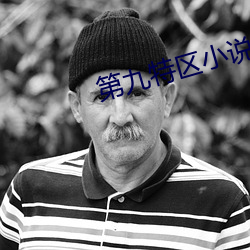 第(dì)九(jiǔ)特(tè)区小说(shuō)