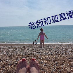 老版初夏直播