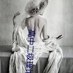 高中二级理论 （嘴硬