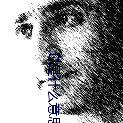 :D是什么意思 视频 （驷马莫追）