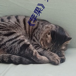 《苹果》完(完)整无删(刪)减