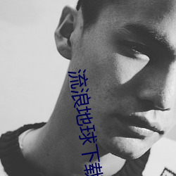 流浪地球下载 （多谋善断）