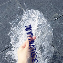 青青草原綜合久久大伊人精品下載