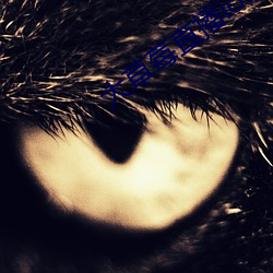 大草莓直播ios免费