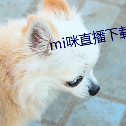 mi咪直播下載