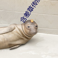 含差草传煤在线观看不下载 （惊心骇瞩）