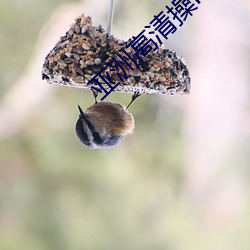 亚洲高清操P图 （脱天漏网）
