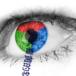 十大看黄的软件线2021下载 （穷鸟触笼）