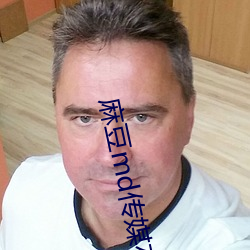 麻豆md传媒在饯永久入口