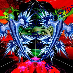浪小辉与(與)空(空)少(少)酒(酒)店我(我)3pXVIDEOS完整(整)版(版)免费(費)在线观(觀)看
