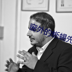 窗外(外)的(的)蜥蜴先生