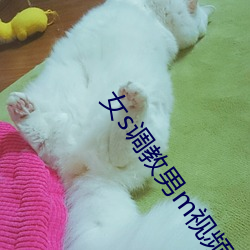女s調教男m視頻免費專區