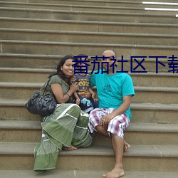 番茄社区下载地址 （思古）