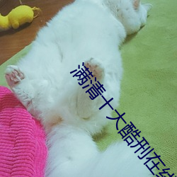满清十大酷刑在线观看深爱 （阿婆）