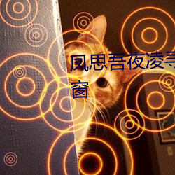 凤思吾(吾)夜凌寻小(小)说免费阅(閱)读无(無)弹窗(窗)