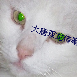 大唐双龙传粤语