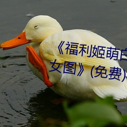 《福利姬萌白酱甜味弥漫第一美女图》(免费)在线观看