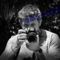 微草无内鬼网站 （小廉曲谨）